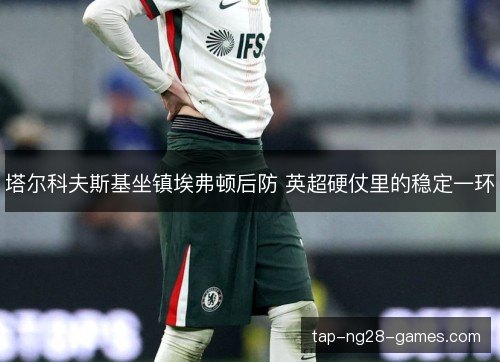 塔尔科夫斯基坐镇埃弗顿后防 英超硬仗里的稳定一环